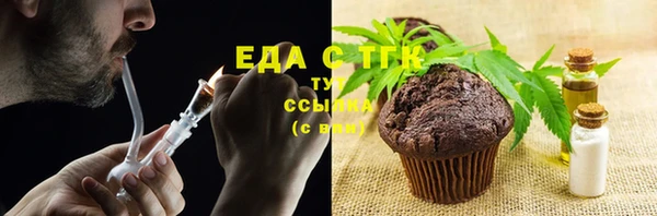 ECSTASY Ельня