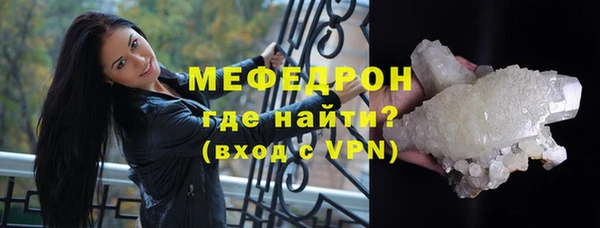 гидра Елизово