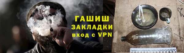 гидра Елизово