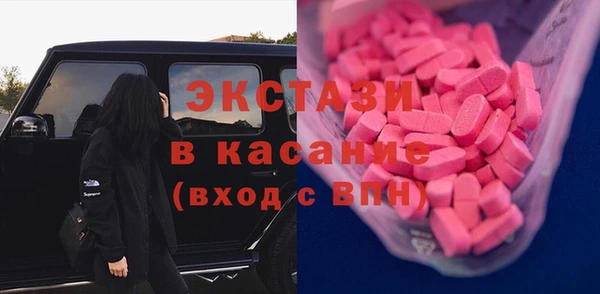 гидра Елизово