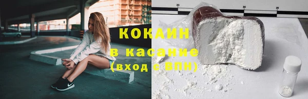 гидра Елизово