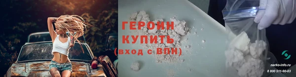 гидра Елизово