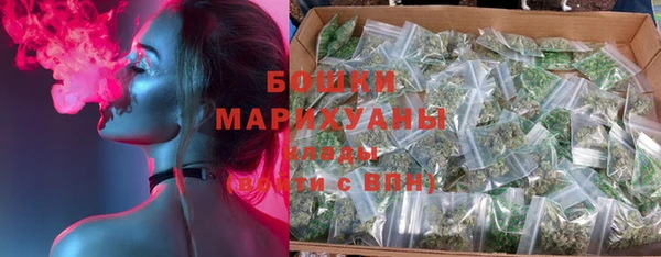 гидра Елизово