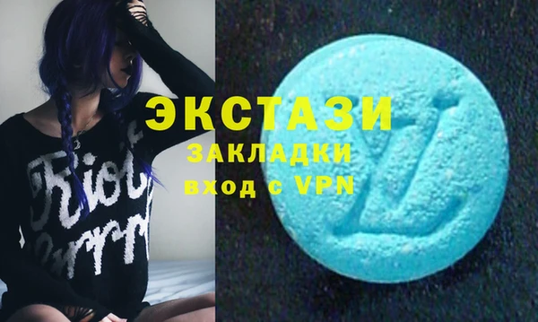 ECSTASY Ельня