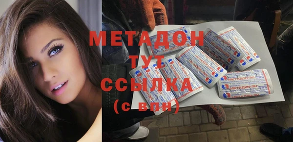 гидра Елизово