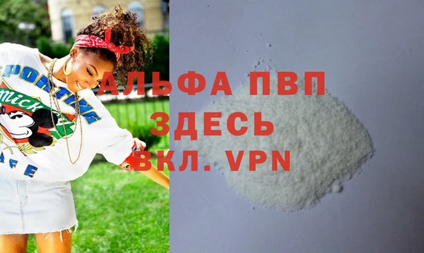 гидра Елизово