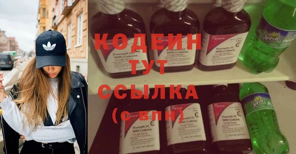 ECSTASY Ельня