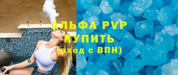 гидра Елизово