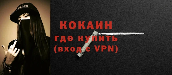 гидра Елизово