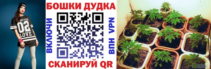 кракен ТОР  Шадринск  Бошки Шишки Amnesia 
